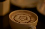 Austrian Sacher and Latte Art - photo 20